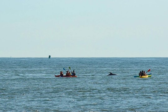 Tour image 11